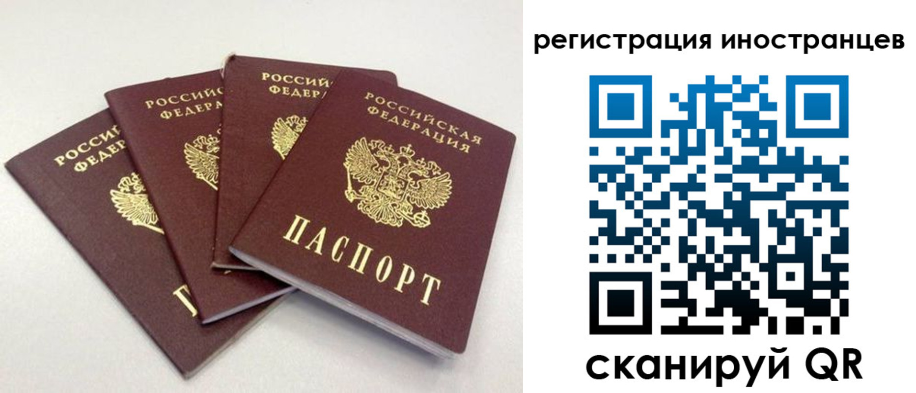 временная регистрация для школы в Бердске